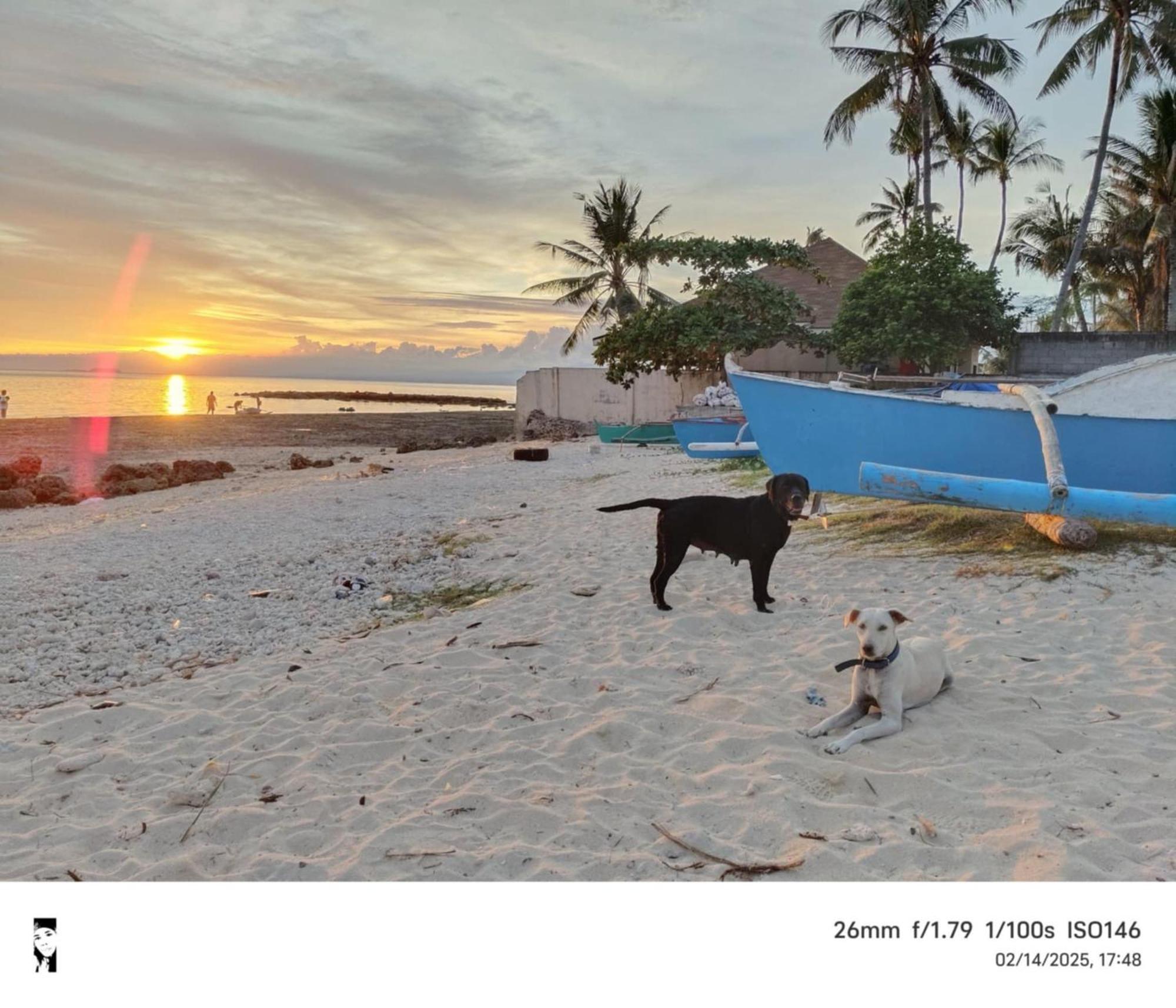 Kobe'S Beachfront Haven Siquijor Extérieur photo